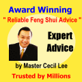 Expert Advice by Master Cecil Lee